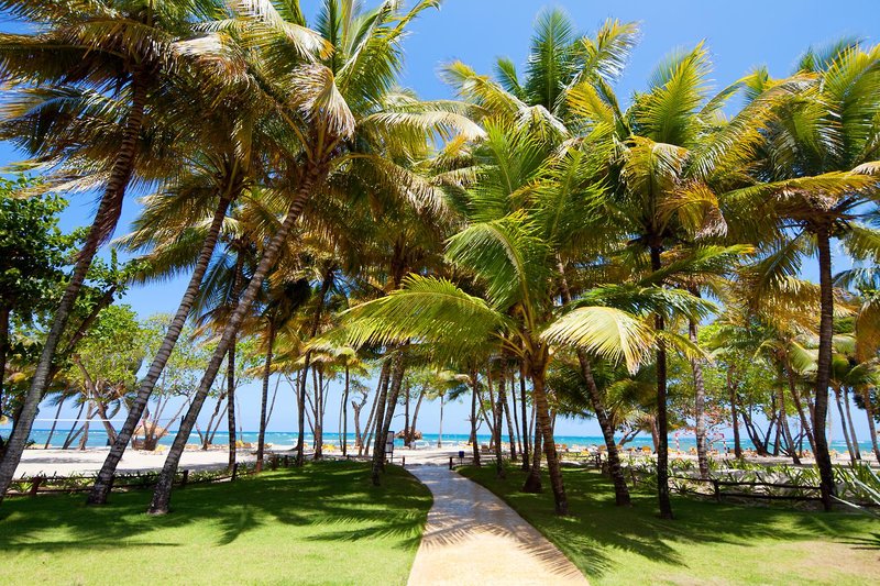 Iberostar Costa Dorada 20