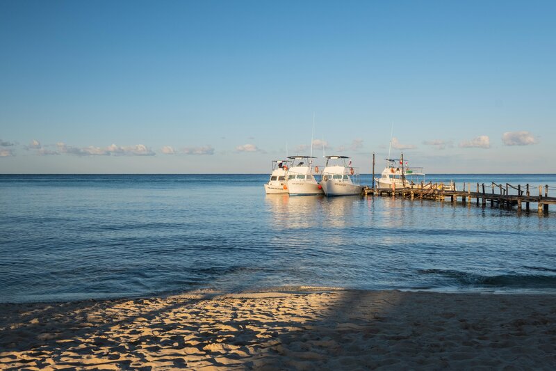 Iberostar Waves Cozumel 60