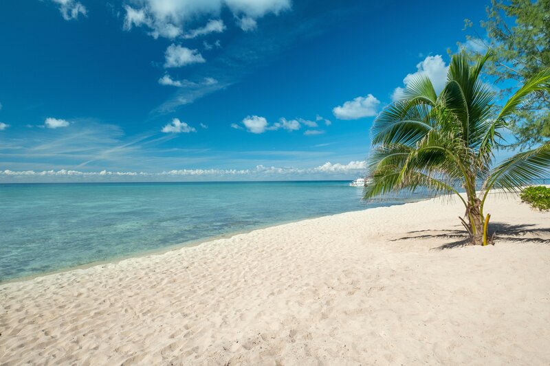 Iberostar Waves Cozumel 101