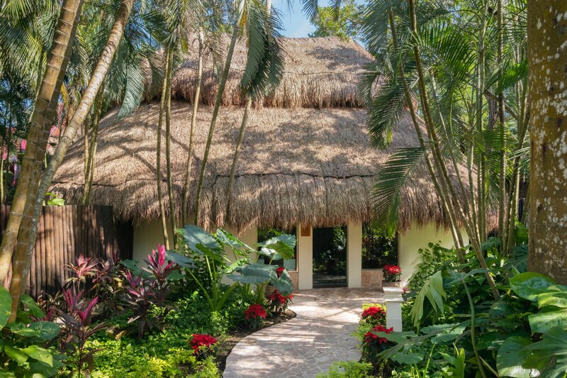 Iberostar Waves Cozumel 50