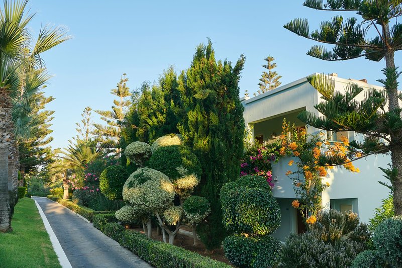 Iberostar Creta Marine 21