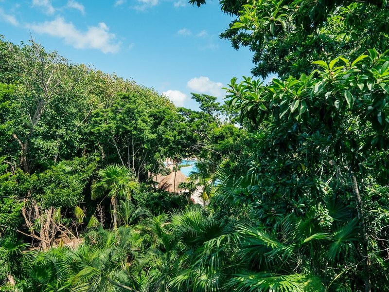 Iberostar Paraiso Beach 5