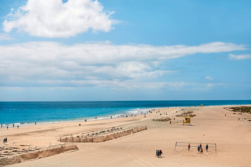 Iberostar Waves Playa Gaviotas 6