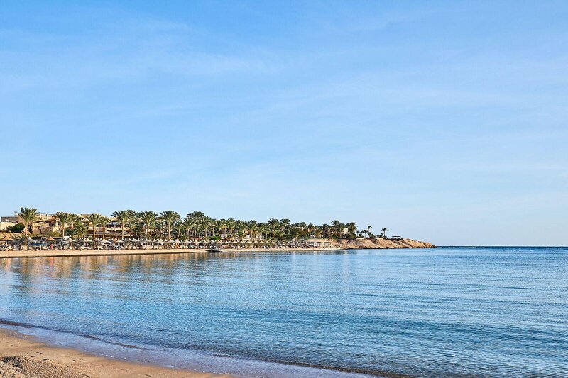 Steigenberger Coraya Beach - Erwachsenenhotel 16