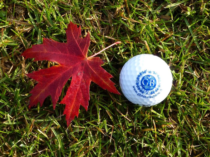 La Residence Terme & Idrokinesis 15