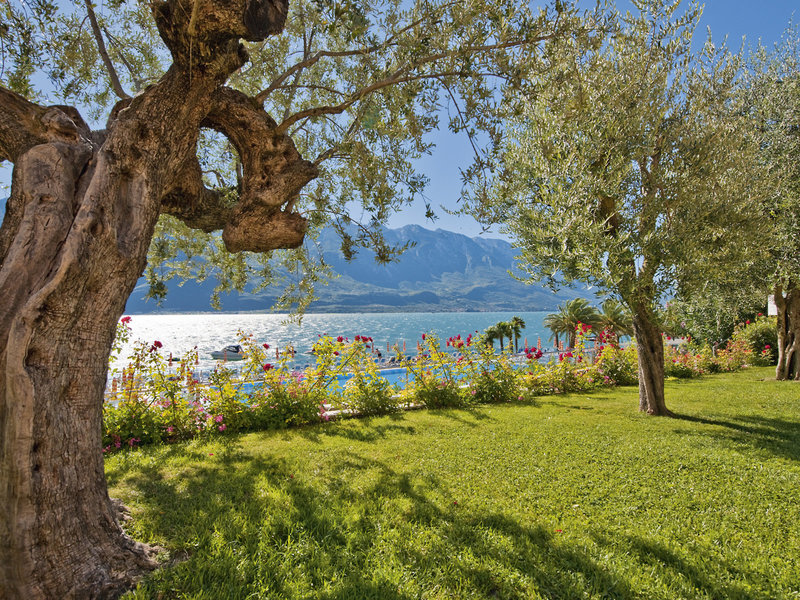 Hotel Ideal 3