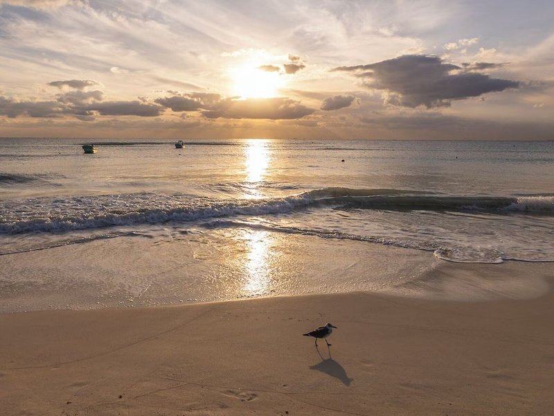 Areia Beach Front Hotel 5