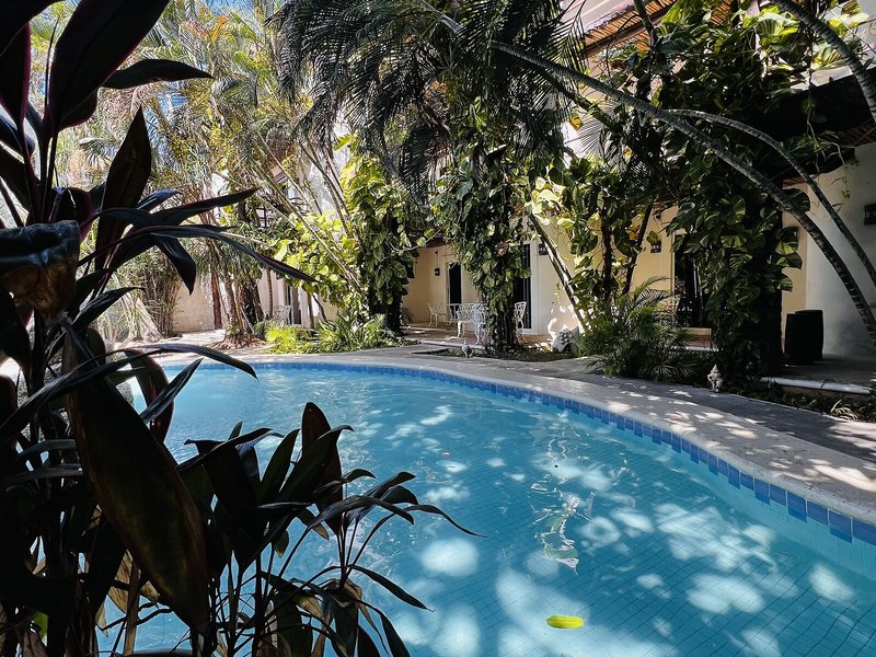 Mayan Art Hotel 10 Avenue 5