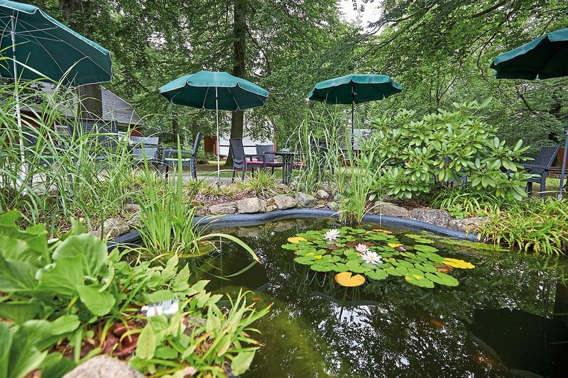 Kurpark Ilsenburg 19