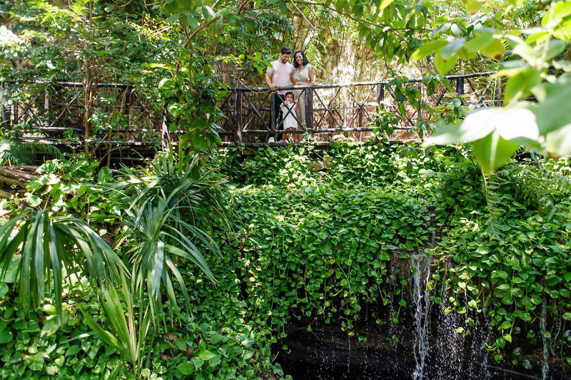 The Reef Playacar Beach Resort & Spa 5