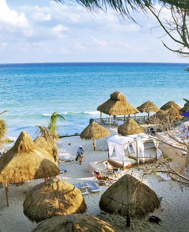 The Reef Playacar Beach Resort & Spa 16