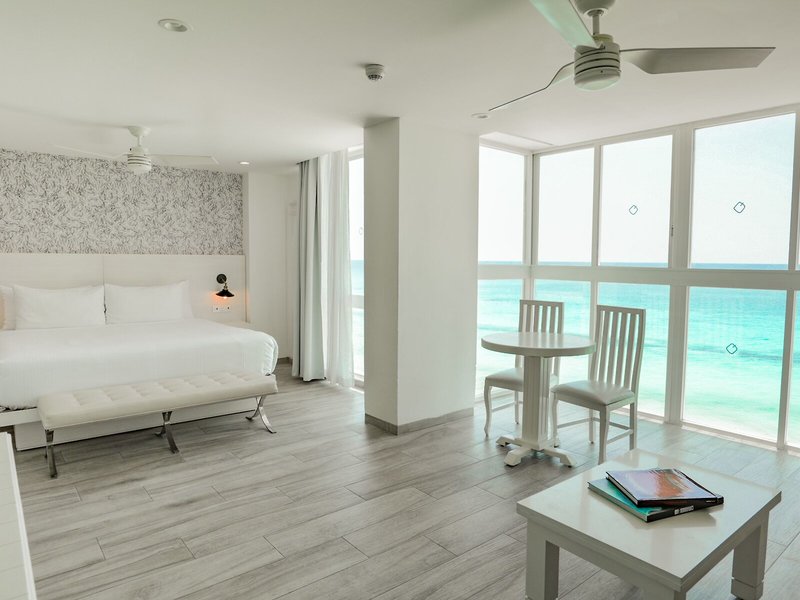 Oleo Cancun Playa 36
