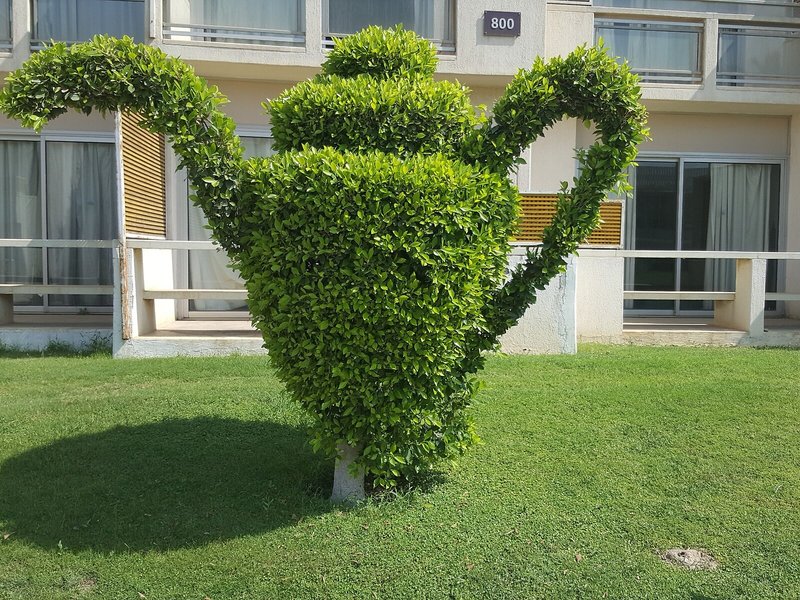 Pyramids Park Resort Cairo