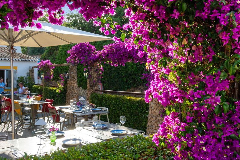 Quinta do Paraíso Casa Colynda 7 - Garden