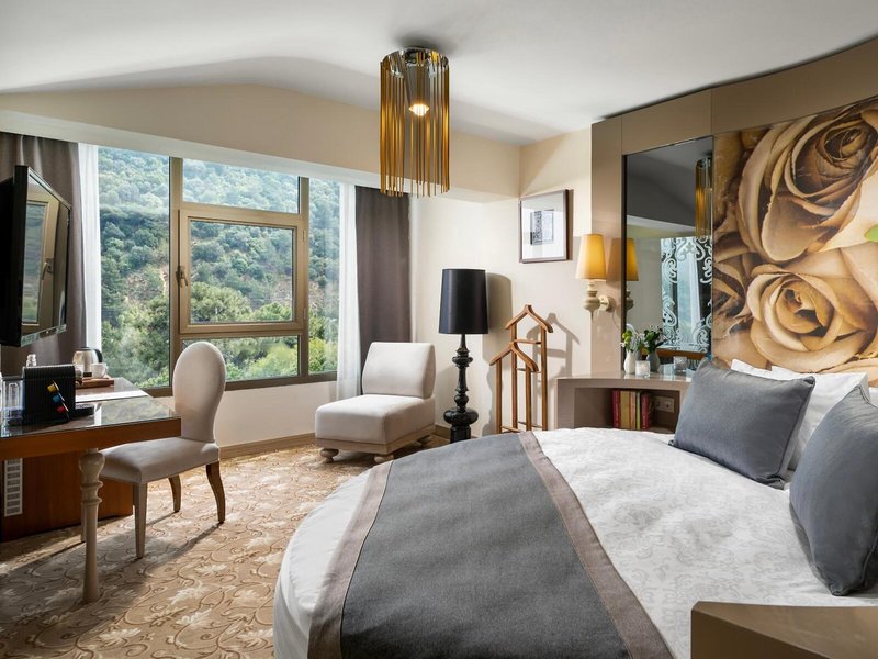 Kaya Izmir Thermal & Convention 39