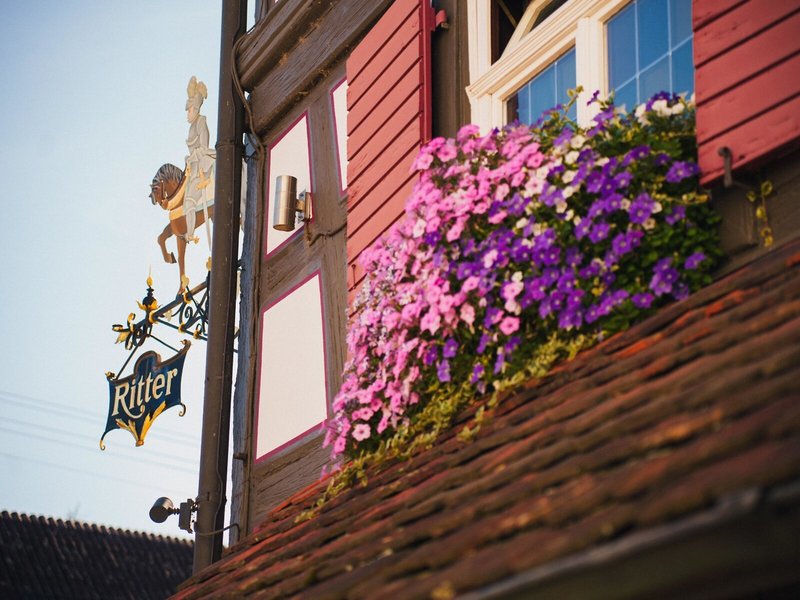 Hotel Ritter Durbach 1