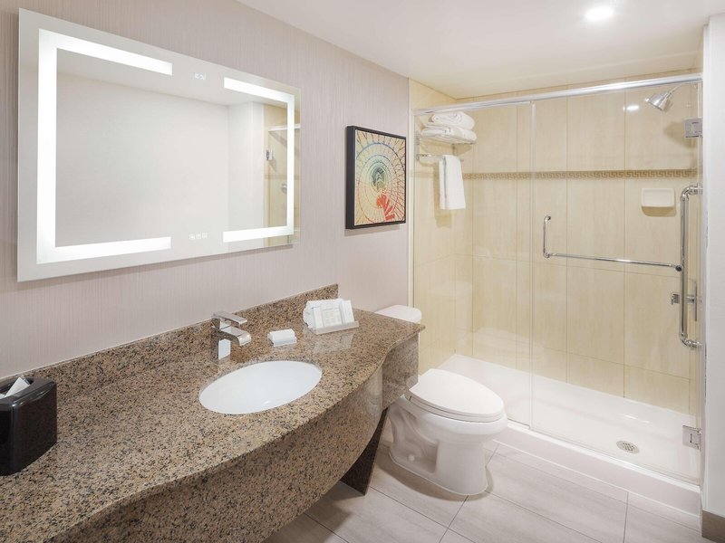 Hilton Garden Inn Montreal Centre-Ville 20 - Bathroom Example