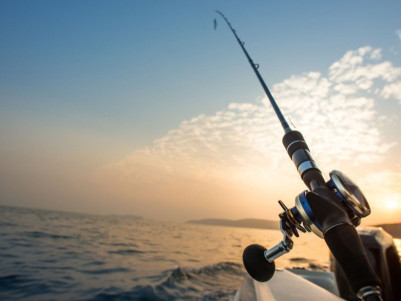 Nilea Island Living 6