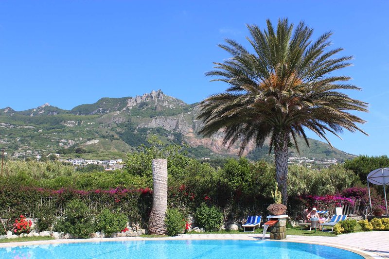 Ideal 1 - Outdoor Pool