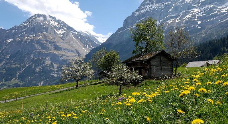 Aspen alpin_lifestyle_hotel Grindelwald 1