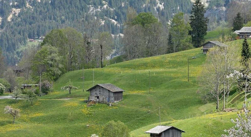 Aspen alpin_lifestyle_hotel Grindelwald 3