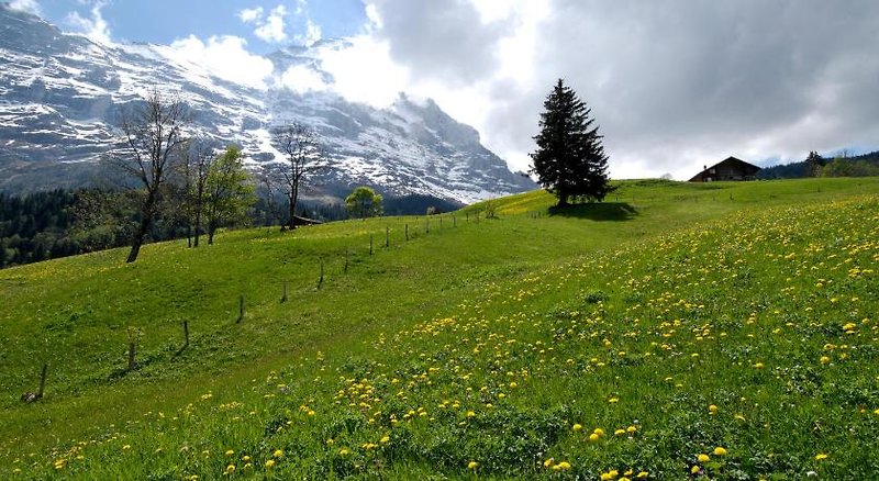 Aspen alpin_lifestyle_hotel Grindelwald 4