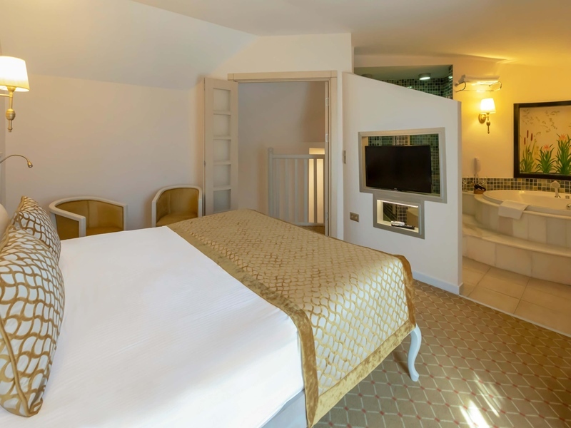 Starlight Resort Hotel 51
