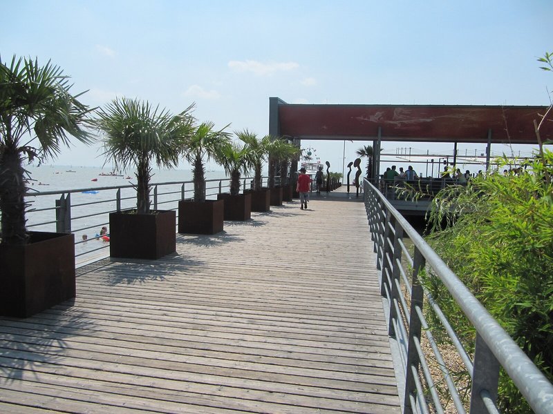Pannonia Tower 9
