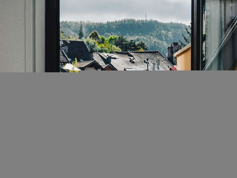 ibis Annecy Centre Vieille Ville 3