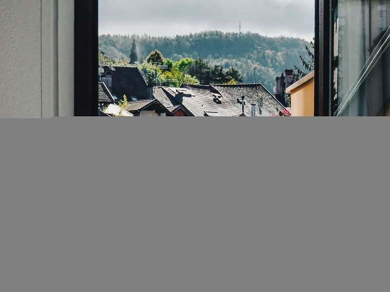 ibis Annecy Centre Vieille Ville 5