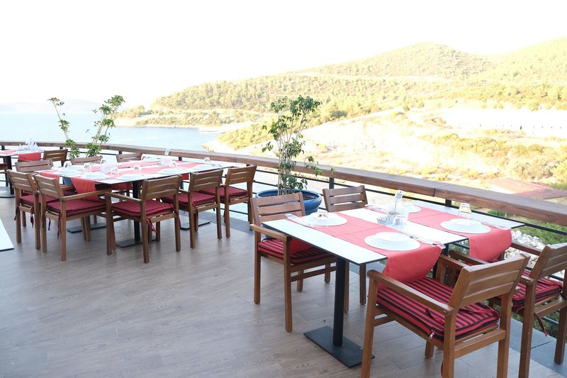 Duja Bodrum 11