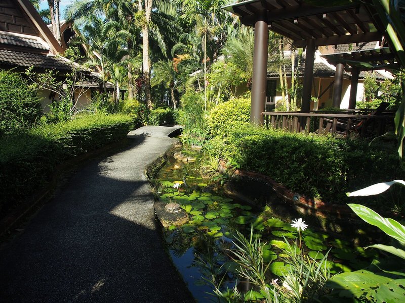 Khao Lak Palm Beach Resort 7