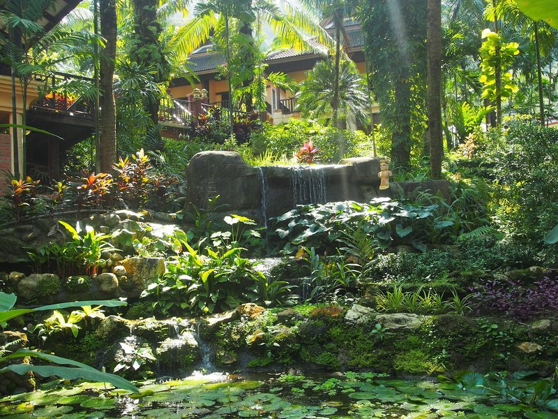 Khao Lak Palm Beach Resort 8