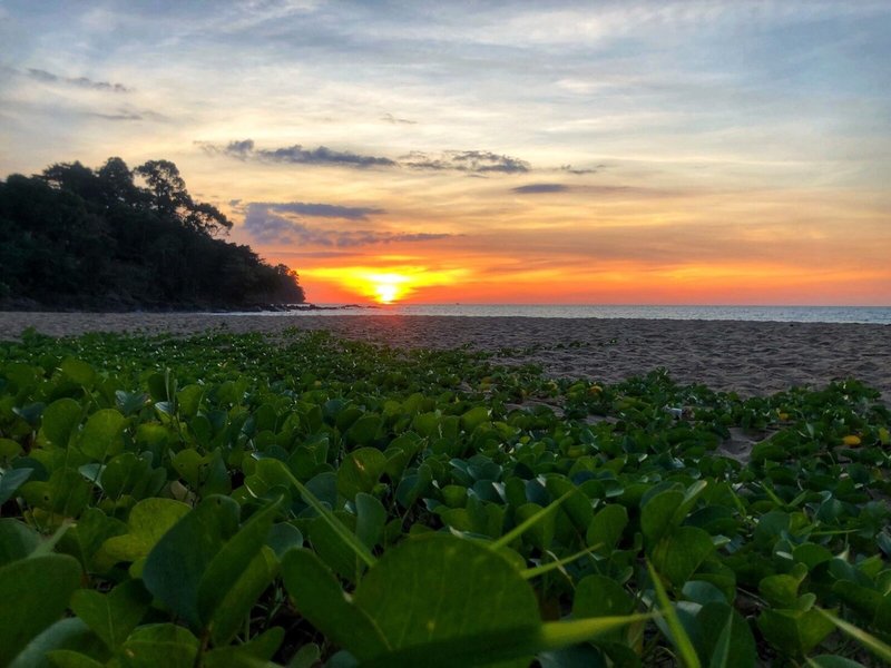 Khao Lak Palm Beach Resort 10