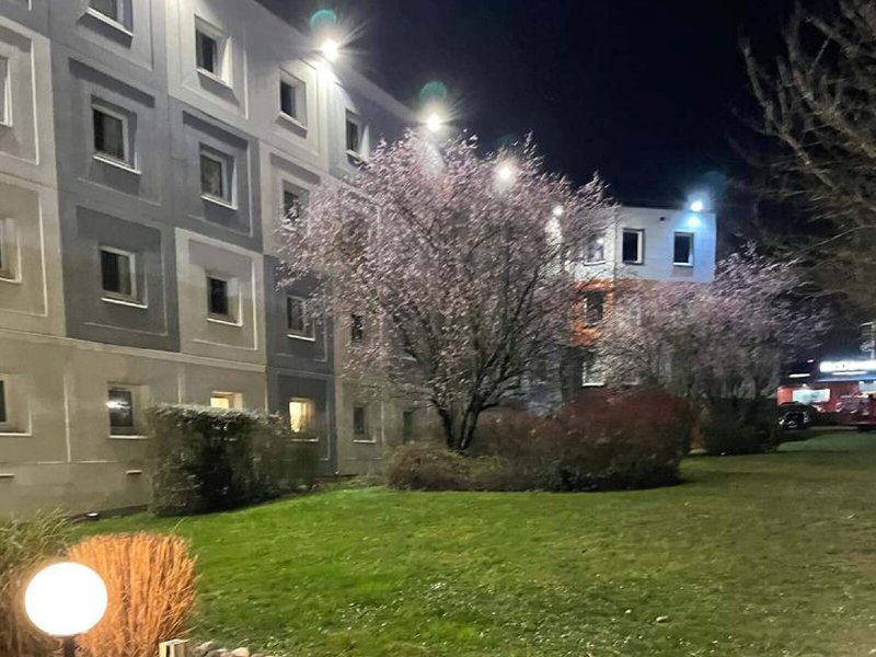 Hotel ibis Paris Orly Rungis