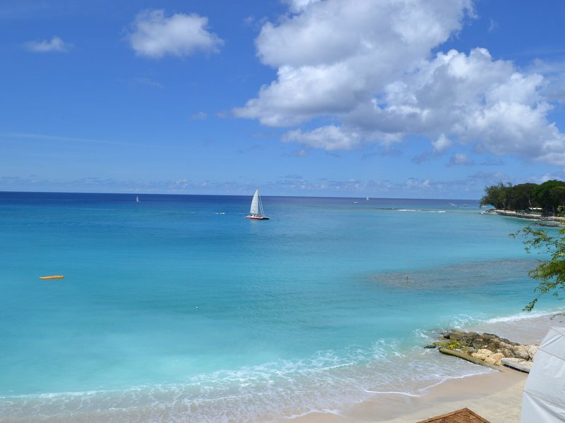 Mango Bay 8