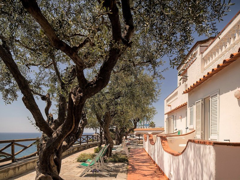 Royal Palm Terme & San Marco 16 - Terrace