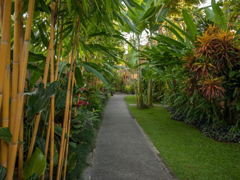 Komaneka at Monkey Forest 6 - Landscape