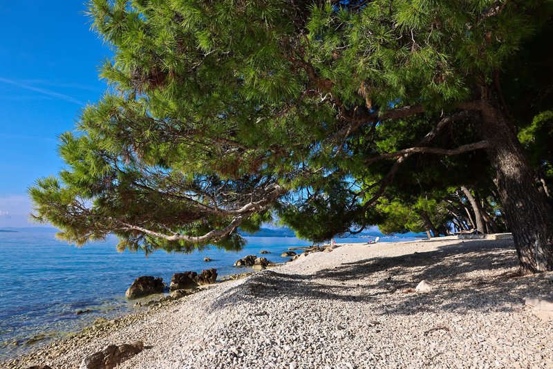 Kozarica Apartments 18