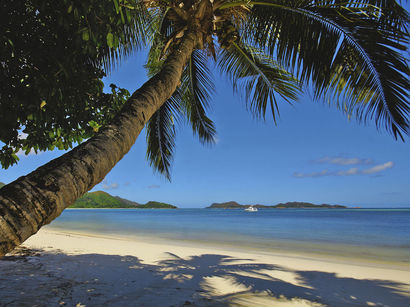 Hotel L’Archipel 4