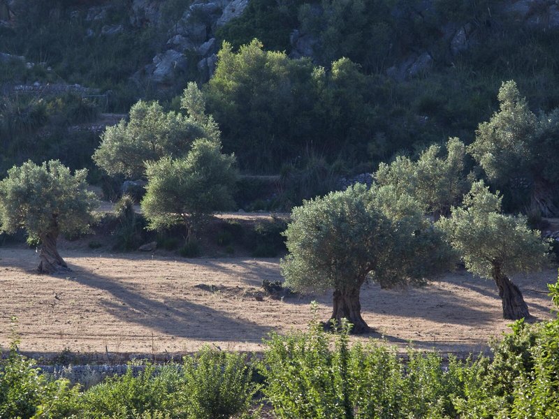 L'Hermitage Hotel & Spa 6