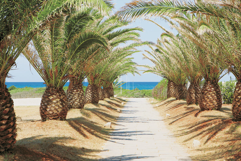 Grand Hotel Masseria Santa Lucia 13