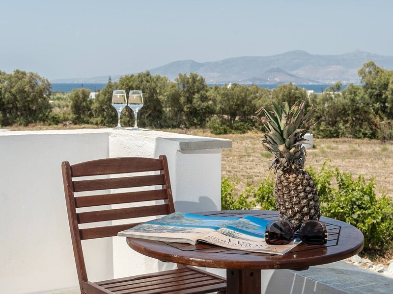 Naxian Serenity Suites 18