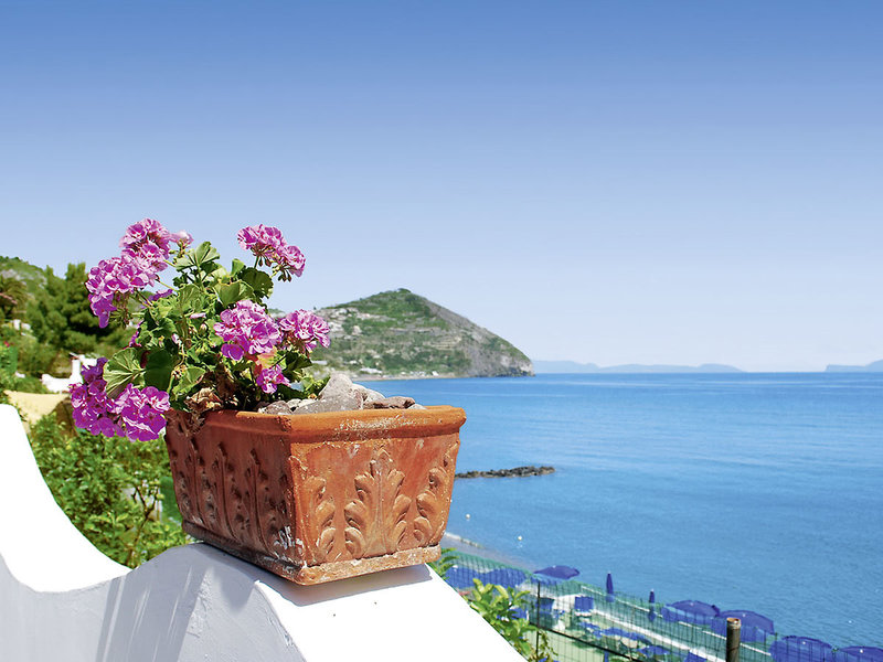 Hotel Casa Rosa Terme 8