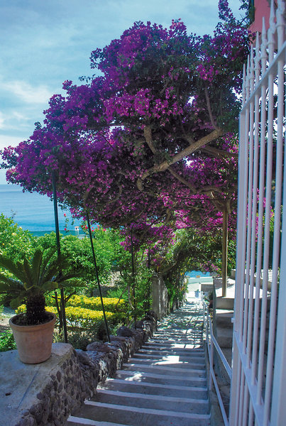Casa Rosa Terme 4