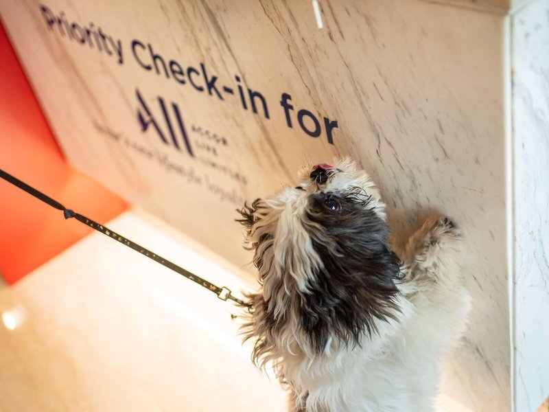 ibis Gurgaon Golf Course Road Hotel 5