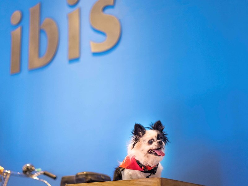 ibis Gurgaon Golf Course Road Hotel 11