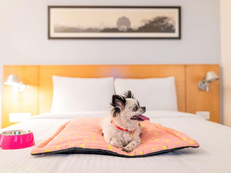 ibis Gurgaon Golf Course Road Hotel 38