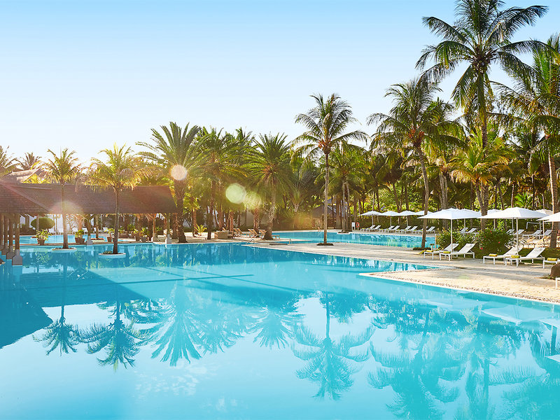 The Ravenala Attitude  1