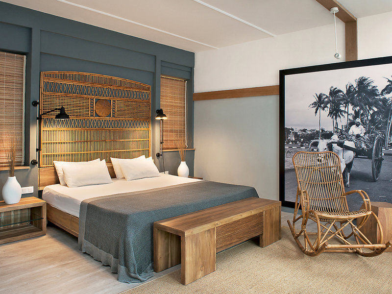 The Ravenala Attitude  7